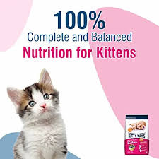 Kitty Yums Kitten Cat Dry Food Ocean Fish 50g pack of 60 - Image 4