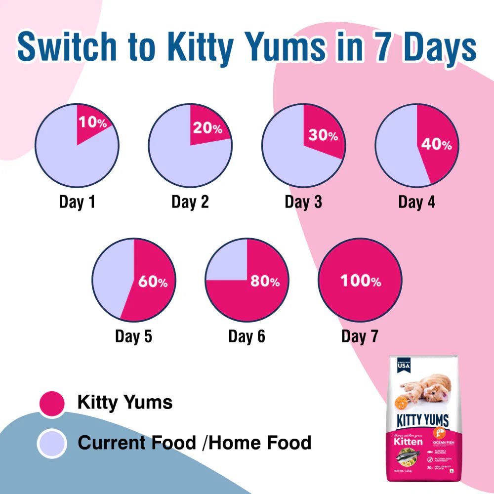 Kitty Yums Kitten Cat Dry Food Ocean Fish 50g pack of 60 - Image 5